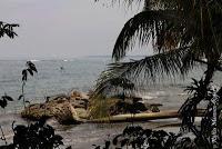 Punta Mona de Talamanca Punta Mona de Talamanca