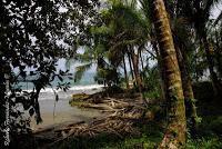 Punta Mona de Talamanca Punta Mona de Talamanca