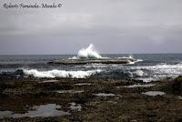 Punta Mona de Talamanca Punta Mona de Talamanca