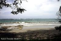 Punta Mona de Talamanca Punta Mona de Talamanca