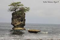 Punta Mona de Talamanca Punta Mona de Talamanca