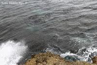 Punta Mona de Talamanca Punta Mona de Talamanca