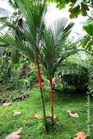 Punta Mona de Talamanca Punta Mona de Talamanca