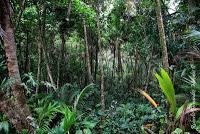 Punta Mona de Talamanca Punta Mona de Talamanca