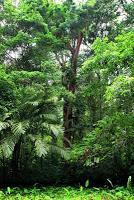 Punta Mona de Talamanca Punta Mona de Talamanca