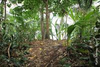 Punta Mona de Talamanca Punta Mona de Talamanca