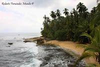 Punta Mona de Talamanca Punta Mona de Talamanca