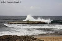 Punta Mona de Talamanca Punta Mona de Talamanca