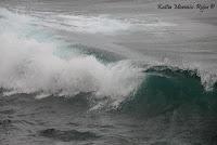 Punta Mona de Talamanca Punta Mona de Talamanca