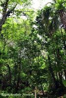 Punta Mona de Talamanca Punta Mona de Talamanca