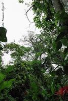 Punta Mona de Talamanca Punta Mona de Talamanca