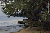 Punta Mona de Talamanca Punta Mona de Talamanca