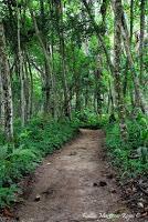 Punta Mona de Talamanca Punta Mona de Talamanca