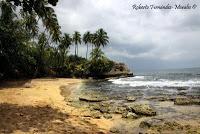 Punta Mona de Talamanca