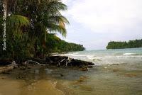 Punta Mona de Talamanca Punta Mona de Talamanca