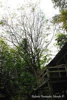 Punta Mona de Talamanca Punta Mona de Talamanca