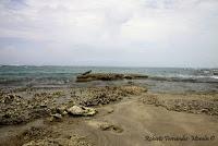 Punta Mona de Talamanca Punta Mona de Talamanca