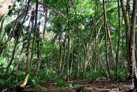 Punta Mona de Talamanca Punta Mona de Talamanca