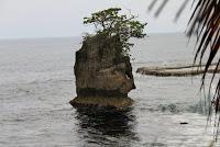 Punta Mona de Talamanca Punta Mona de Talamanca