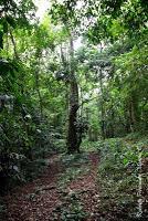 Punta Mona de Talamanca Punta Mona de Talamanca