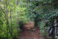 Punta Mona de Talamanca Punta Mona de Talamanca