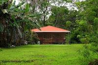 Punta Mona de Talamanca Punta Mona de Talamanca