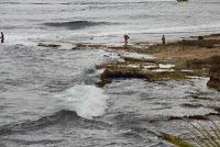 Punta Mona de Talamanca Punta Mona de Talamanca