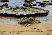 Punta Mona de Talamanca Punta Mona de Talamanca