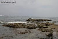 Punta Mona de Talamanca Punta Mona de Talamanca