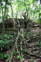 Punta Mona de Talamanca Punta Mona de Talamanca