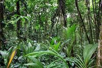 Punta Mona de Talamanca Punta Mona de Talamanca