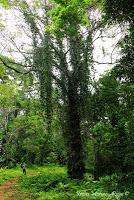 Punta Mona de Talamanca Punta Mona de Talamanca