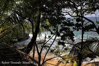 Punta Mona de Talamanca Punta Mona de Talamanca