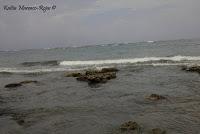 Punta Mona de Talamanca Punta Mona de Talamanca