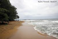 Punta Mona de Talamanca Punta Mona de Talamanca