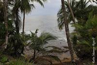 Punta Mona de Talamanca Punta Mona de Talamanca