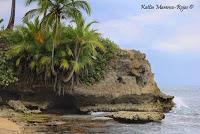 Punta Mona de Talamanca Punta Mona de Talamanca