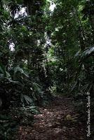 Punta Mona de Talamanca Punta Mona de Talamanca