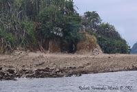 Islas Las Cocineras