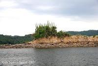Islas Las Cocineras Islas Las Cocineras