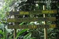 Punta Uva de Limón Punta Uva de Limón