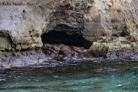 Punta Uva de Limón Punta Uva de Limón