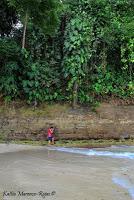 Punta Uva de Limón Punta Uva de Limón