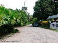 Punta Uva de Limón