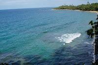 Punta Uva de Limón Punta Uva de Limón