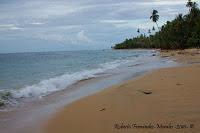 Punta Uva de Limón