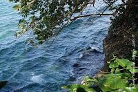 Punta Uva de Limón Punta Uva de Limón