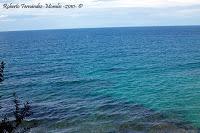 Punta Uva de Limón Punta Uva de Limón