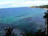 Punta Uva de Limón Punta Uva de Limón