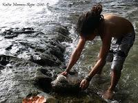 Punta Uva de Limón Punta Uva de Limón